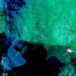 image: Image from the photoset ‘
damage (cxl)
’.