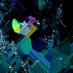 image: Image from the photoset ‘
damage (cxlii)
’.