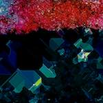 image: Image from the photoset ‘
damage (cxliv)
’.