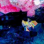 image: Image from the photoset ‘
damage (cxlvi)
’.