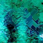 image: Image from the photoset ‘
damage (cil)
’.