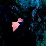 image: Image from the photoset ‘
damage (cil)
’.