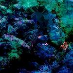 image: Image from the photoset ‘
damage (cl)
’.