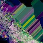 image: Image from the photoset ‘
damage (cliii)
’.