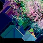 image: Image from the photoset ‘
damage (cliii)
’.