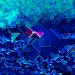 image: Image from the photoset ‘
damage (cliii)
’.