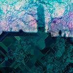 image: Image from the photoset ‘
damage (clvi)
’.