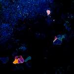 image: Image from the photoset ‘
damage (clvii)
’.