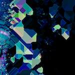 image: Image from the photoset ‘
damage (clviii)
’.