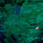 Image: Sixth image from the photoset 'damage (clxi)'.