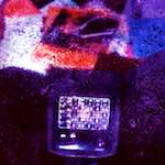 image: Image from the photoset ‘
damage (cclviii)
’.