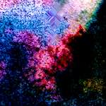 image: Image from the photoset ‘
damage (cclix)
’.