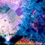 image: Image from the photoset ‘
damage (cclix)
’.