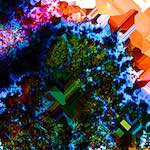 image: Image from the photoset ‘
damage (cclix)
’.