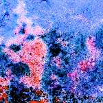 image: Image from the photoset ‘
damage (cclix)
’.