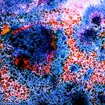 image: Image from the photoset ‘
damage (cclix)
’.