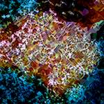 image: Image from the photoset ‘
damage (cclx)
’.