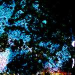 image: Image from the photoset ‘
damage (cclx)
’.