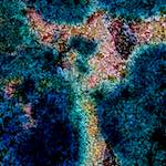 image: Image from the photoset ‘
damage (cclx)
’.