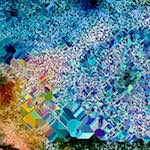 image: Image from the photoset ‘
damage (cclx)
’.