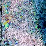 image: Image from the photoset ‘
damage (cclx)
’.