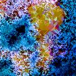 image: Image from the photoset ‘
damage (cclxi)
’.