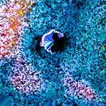 image: Image from the photoset ‘
damage (cclxi)
’.