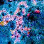 image: Image from the photoset ‘
damage (cclxi)
’.