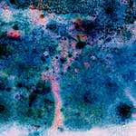 image: Image from the photoset ‘
damage (cclxi)
’.