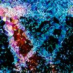 image: Image from the photoset ‘
damage (cclxi)
’.