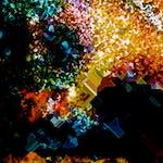 image: Image from the photoset ‘
damage (cclxii)
’.