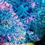 image: Image from the photoset ‘
damage (cclxii)
’.