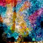 image: Image from the photoset ‘
damage (cclxii)
’.