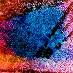 image: Image from the photoset ‘
damage (cclxii)
’.