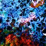 image: Image from the photoset ‘
damage (cclxii)
’.