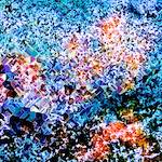 image: Image from the photoset ‘
damage (cclxii)
’.