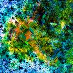 image: Image from the photoset ‘
damage (cclxii)
’.