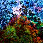 image: Image from the photoset ‘
damage (cclxiii)
’.