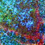 image: Image from the photoset ‘
damage (cclxiii)
’.