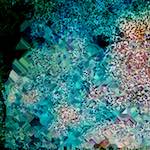 image: Image from the photoset ‘
damage (cclxiii)
’.