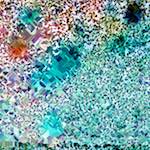 image: Image from the photoset ‘
damage (cclxiii)
’.