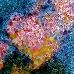 image: Image from the photoset ‘
damage (cclxiv)
’.