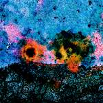 image: Image from the photoset ‘
damage (cclxiv)
’.