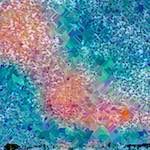 image: Image from the photoset ‘
damage (cclxiv)
’.