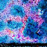 image: Image from the photoset ‘
damage (cclxiv)
’.