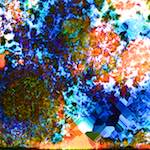 image: Image from the photoset ‘
damage (cclxiv)
’.