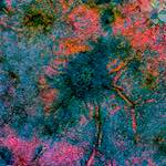 Sixth image from the photoset 'damage (cclxv)'.