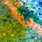 image: Image from the photoset ‘
damage (cclxvii)
’.