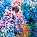 image: Image from the photoset ‘
damage (cclxvii)
’.