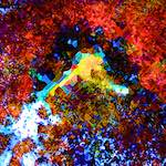 image: Image from the photoset ‘
damage (cclxviii)
’.